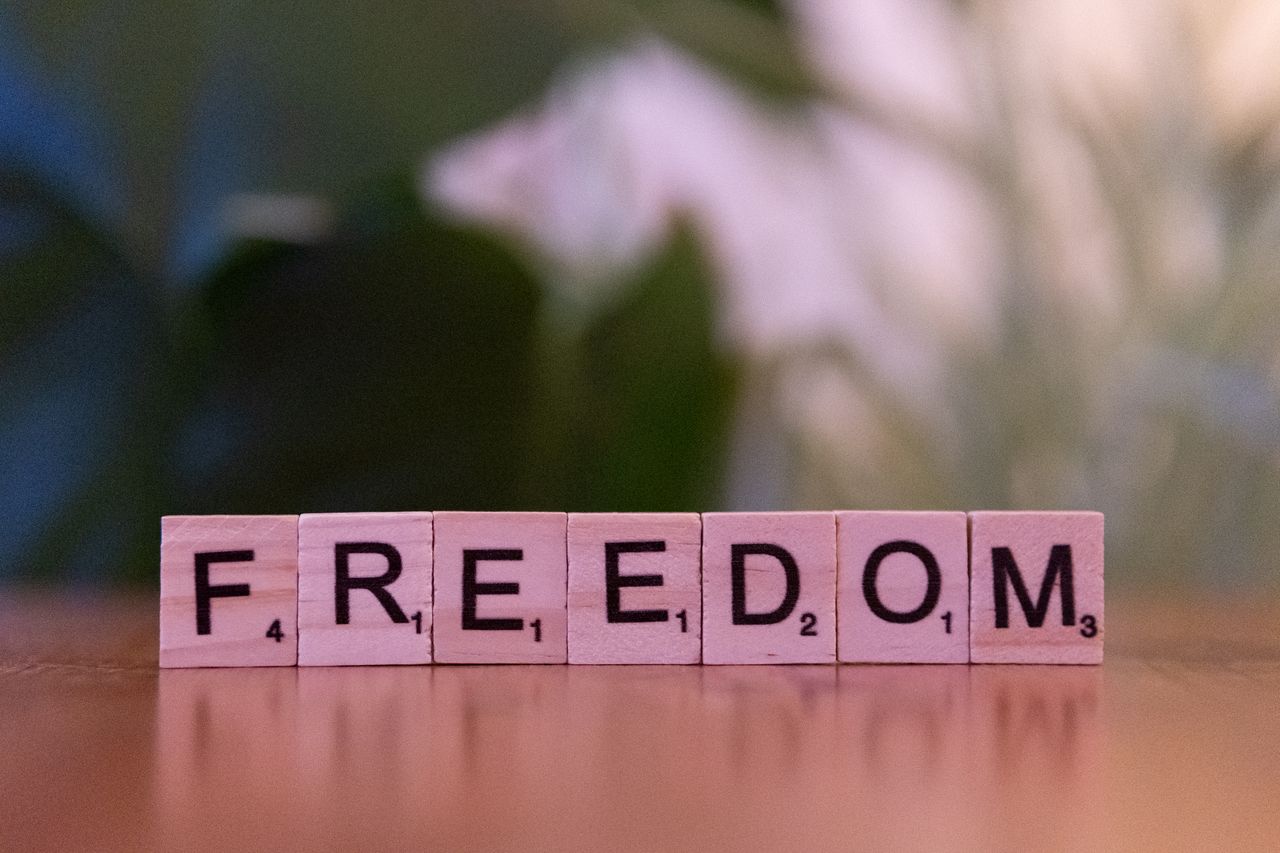 Wooden letter tiles spelling 'FREEDOM' in a soft, blurred background setting.